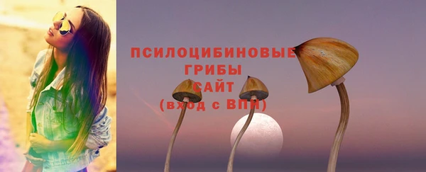 круглые Алзамай