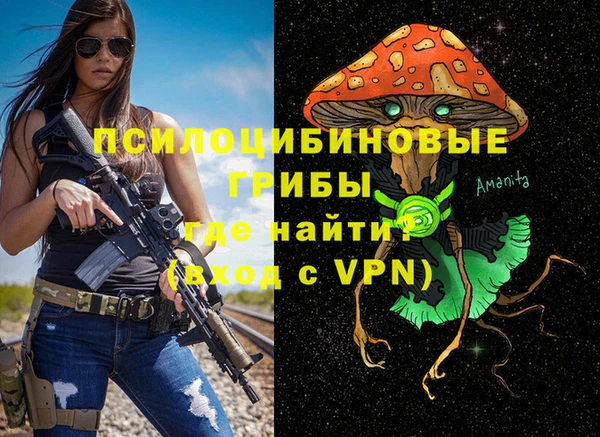 амфетамин Алексин