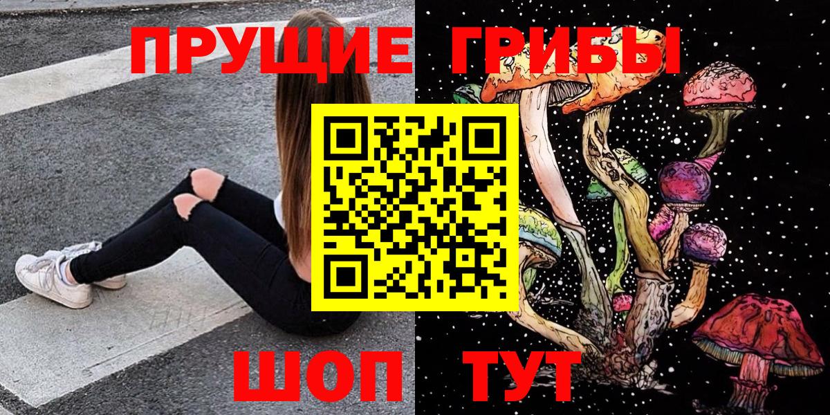 Галлюциногенные грибы Psilocybe  Вход с VPN  Качканар 