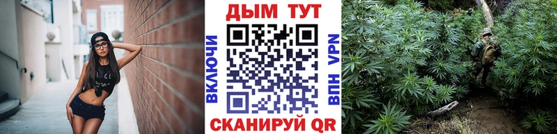 Марихуана сатива  как найти наркотики  Качканар 