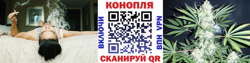 Бошки Шишки MAZAR Качканар